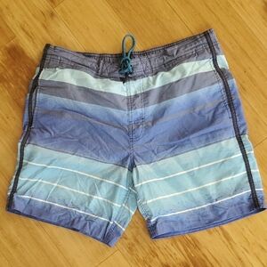 American Eagle Outfitters Blue Gradient Swim Shorts